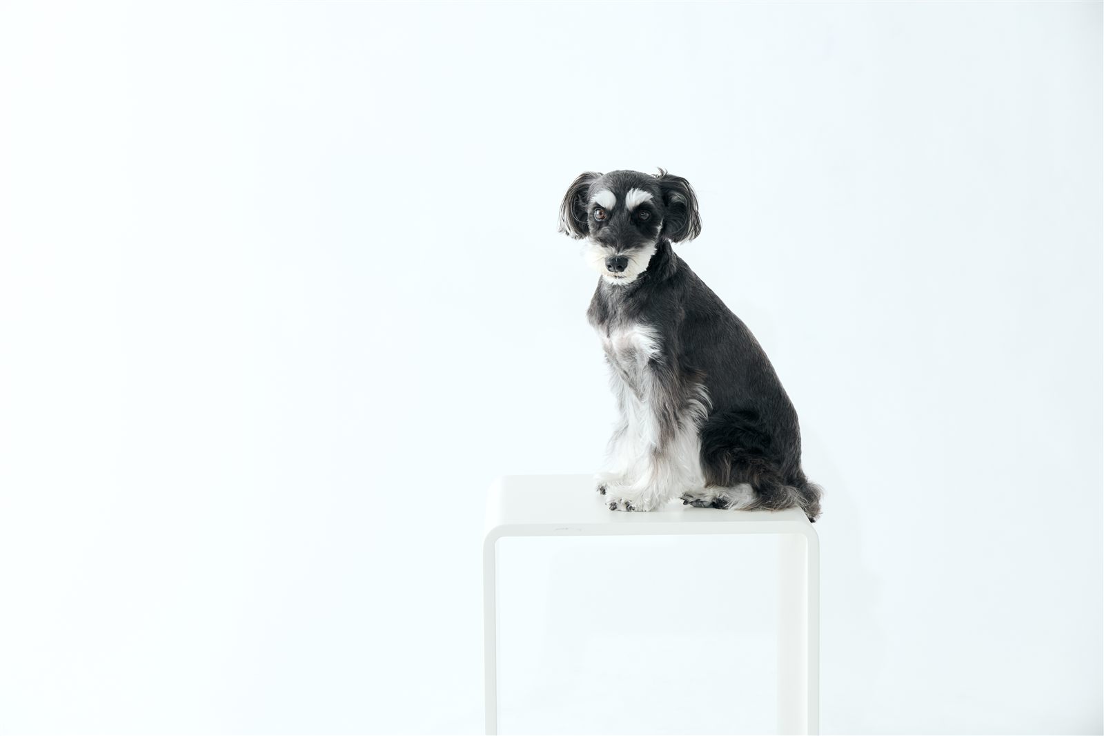 Libars Studio gallery photo